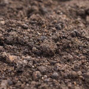 Loose clumps of dry brown soil