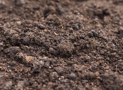 Coarse brown fill dirt with clumps