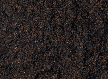 Dark loose nutrient rich topsoil surface