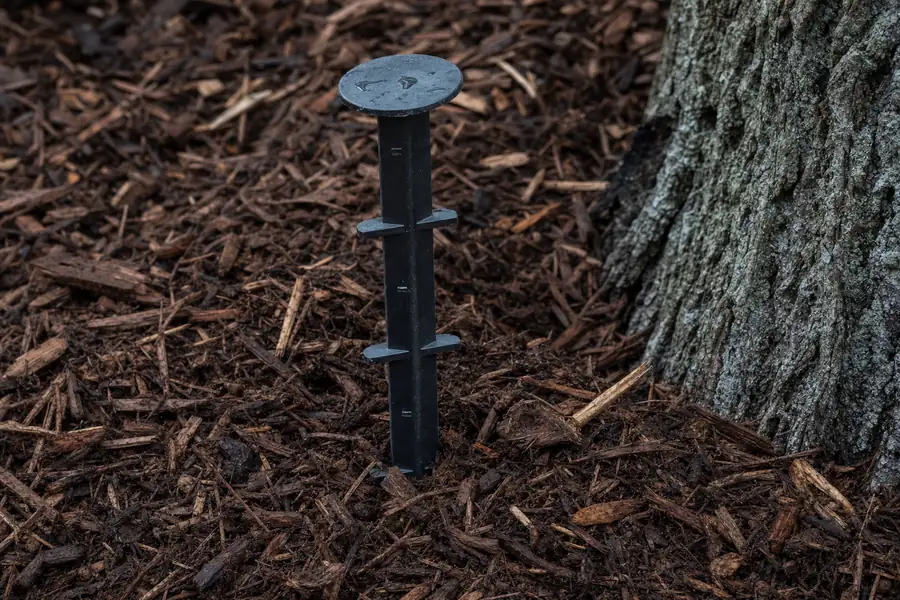 Of mulch depth gauge showing three inches of mulch around a tree ring