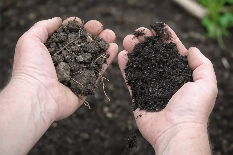Photo of two cupped hands comparing soil grades: left hand holding lumpy unscreened soil with roots and stones, right hand holding fine dark screened topsoil crumbling between fingers, garden bed blurred behind, soft, the pay-for-screening argument in one image