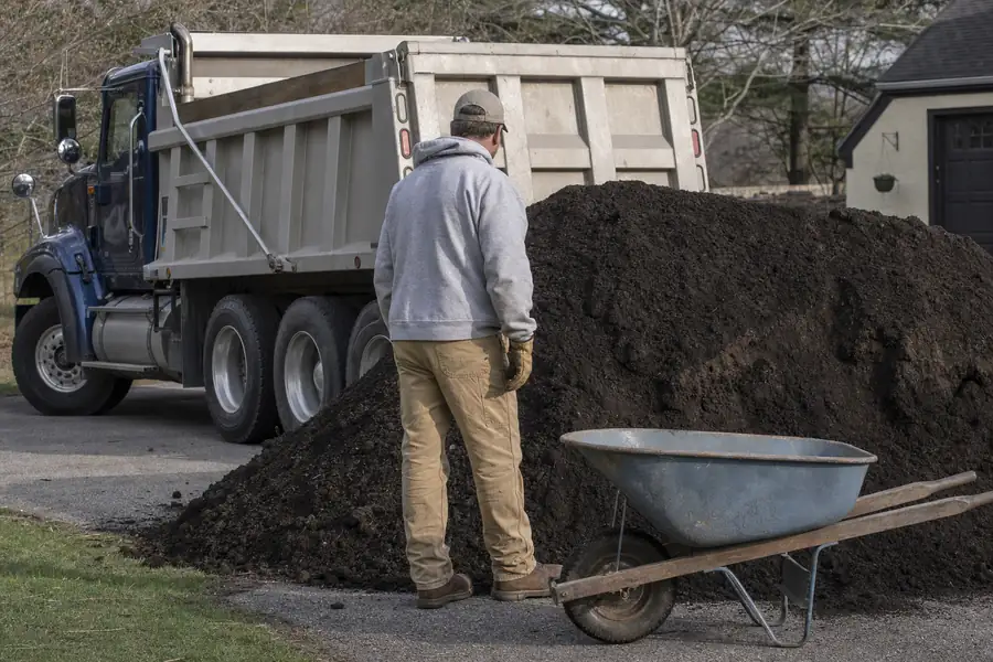 Photo of a ten-yard topsoil delivery pile on a driveway beside a parked tandem truck, a person standing next to the shoulder-high pile for scale with a wheelbarrow at its base, late-day sun casting a long pile shadow, honest what-you-get-for-your-money documentation
