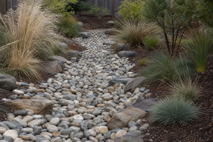 How to Build a Dry Creek Bed That Actually Moves Water